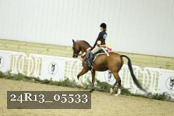 24R13_05533 thumbnail