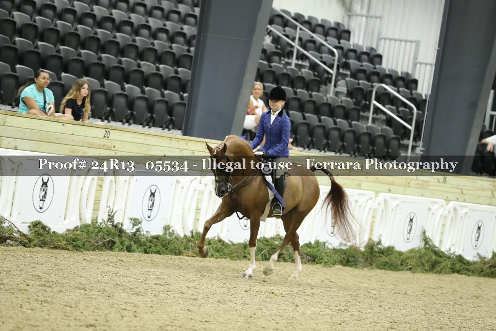 Proof Number 24R13_05534