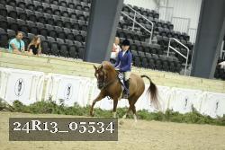 24R13_05534 thumbnail