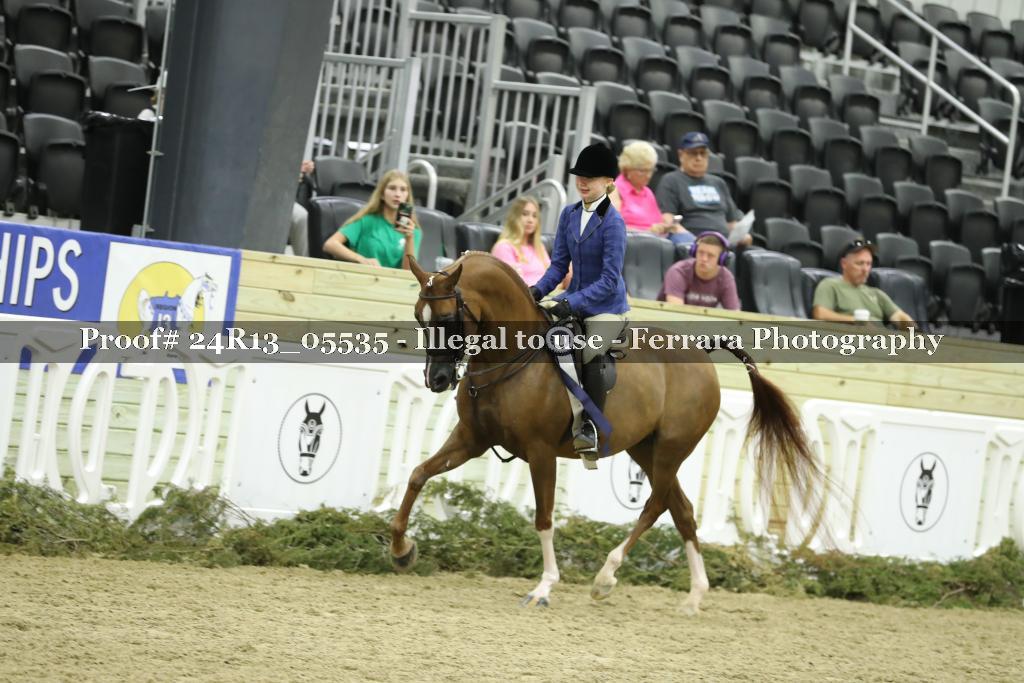 Proof Number 24R13_05535