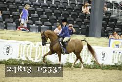 24R13_05537 thumbnail