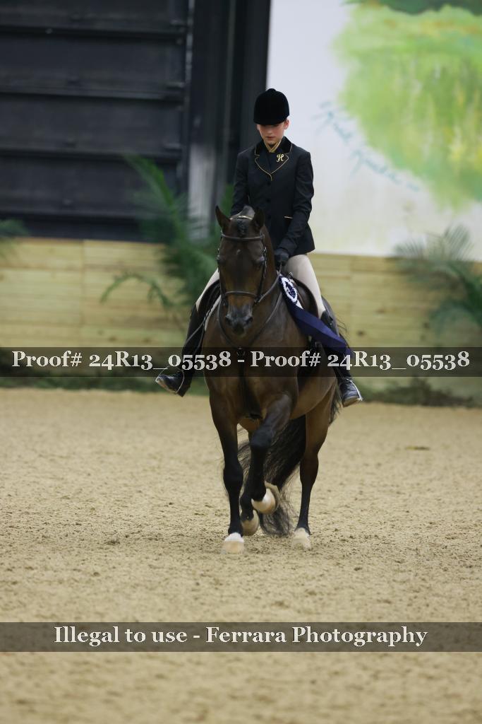 Proof Number 24R13_05538