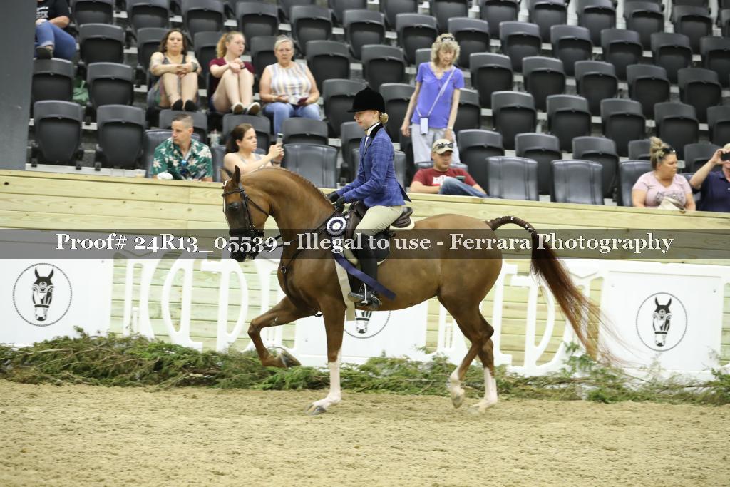 Proof Number 24R13_05539