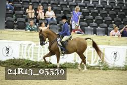 24R13_05539 thumbnail