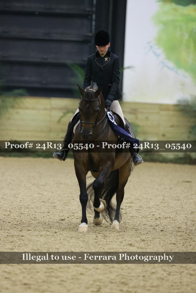 Proof Number 24R13_05540