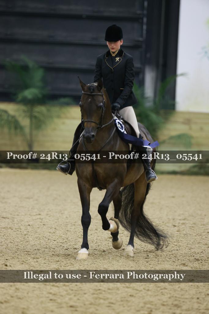 Proof Number 24R13_05541