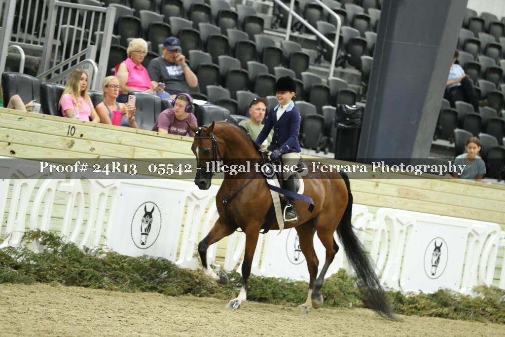 Proof Number 24R13_05542