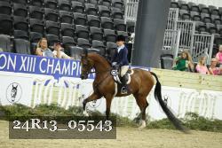 24R13_05543 thumbnail