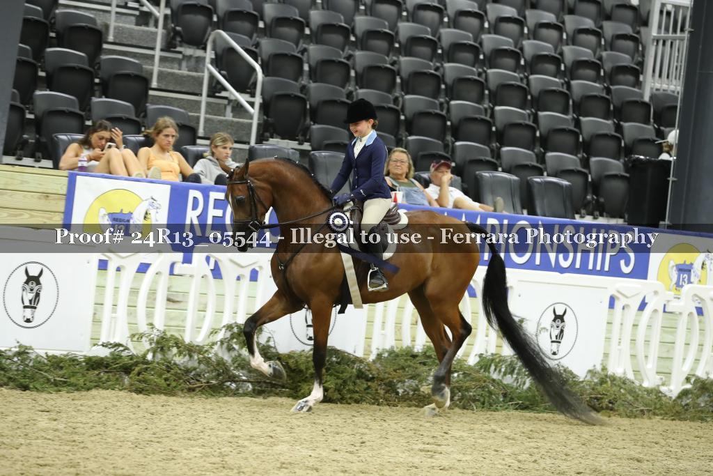 Proof Number 24R13_05544