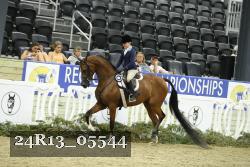 24R13_05544 thumbnail