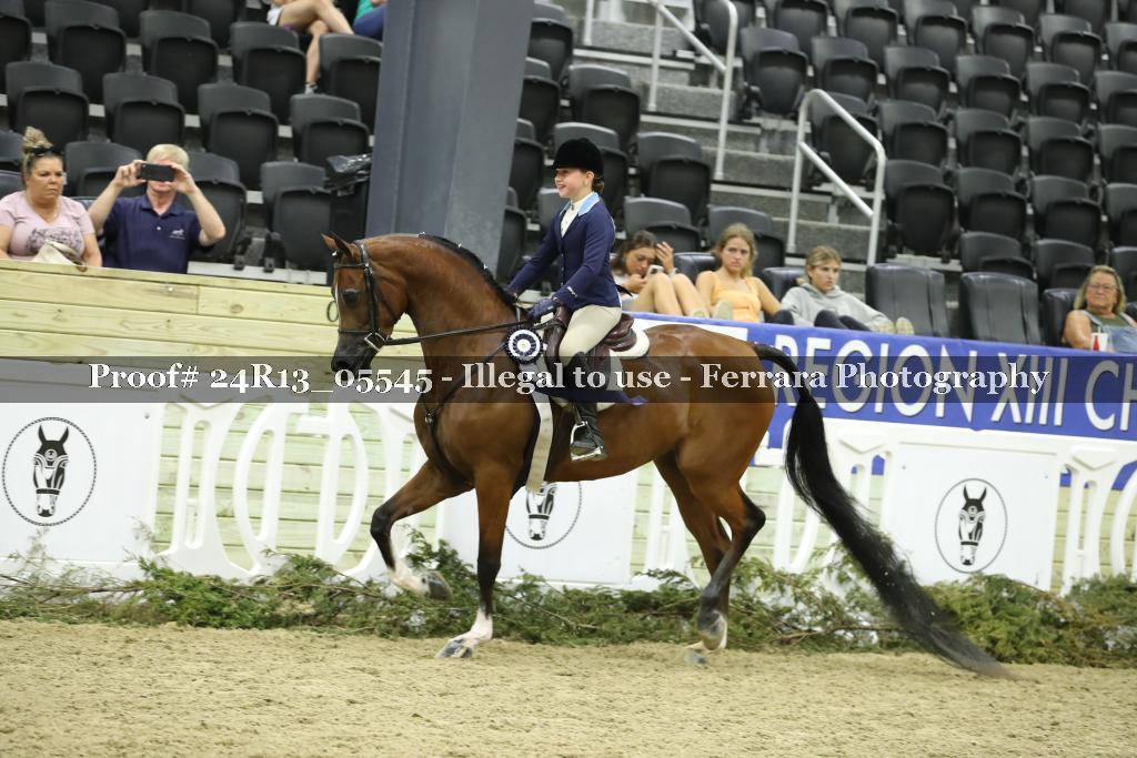 Proof Number 24R13_05545