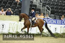 24R13_05545 thumbnail