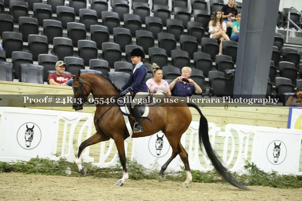 Proof Number 24R13_05546