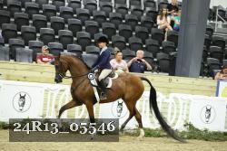 24R13_05546 thumbnail