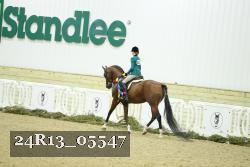 24R13_05547 thumbnail