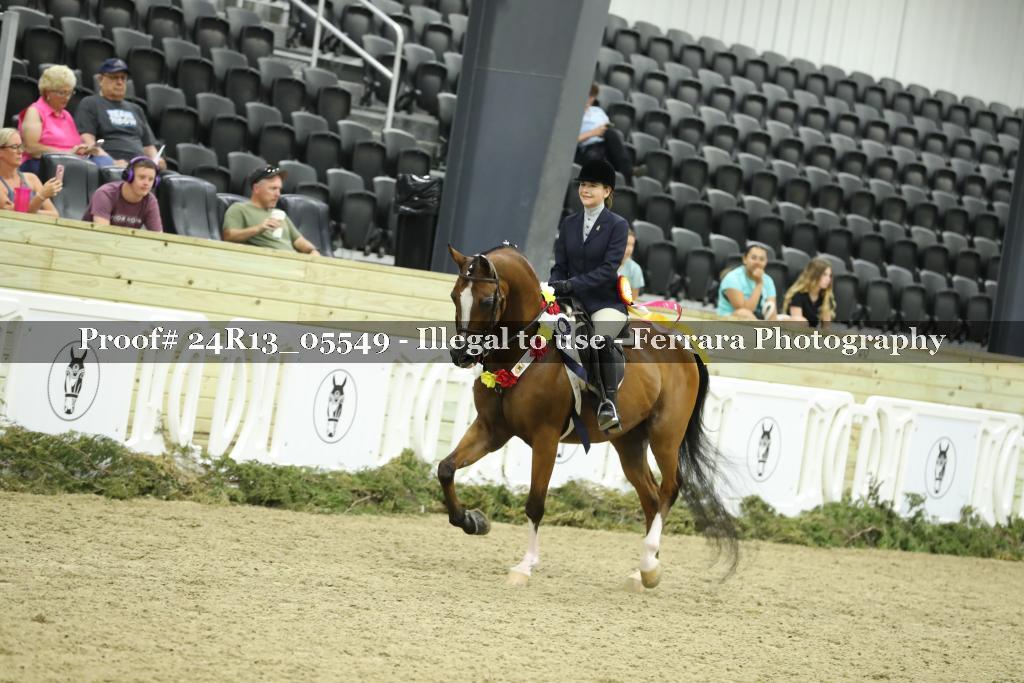 Proof Number 24R13_05549