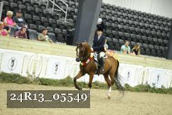 24R13_05549 thumbnail