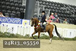 24R13_05550 thumbnail