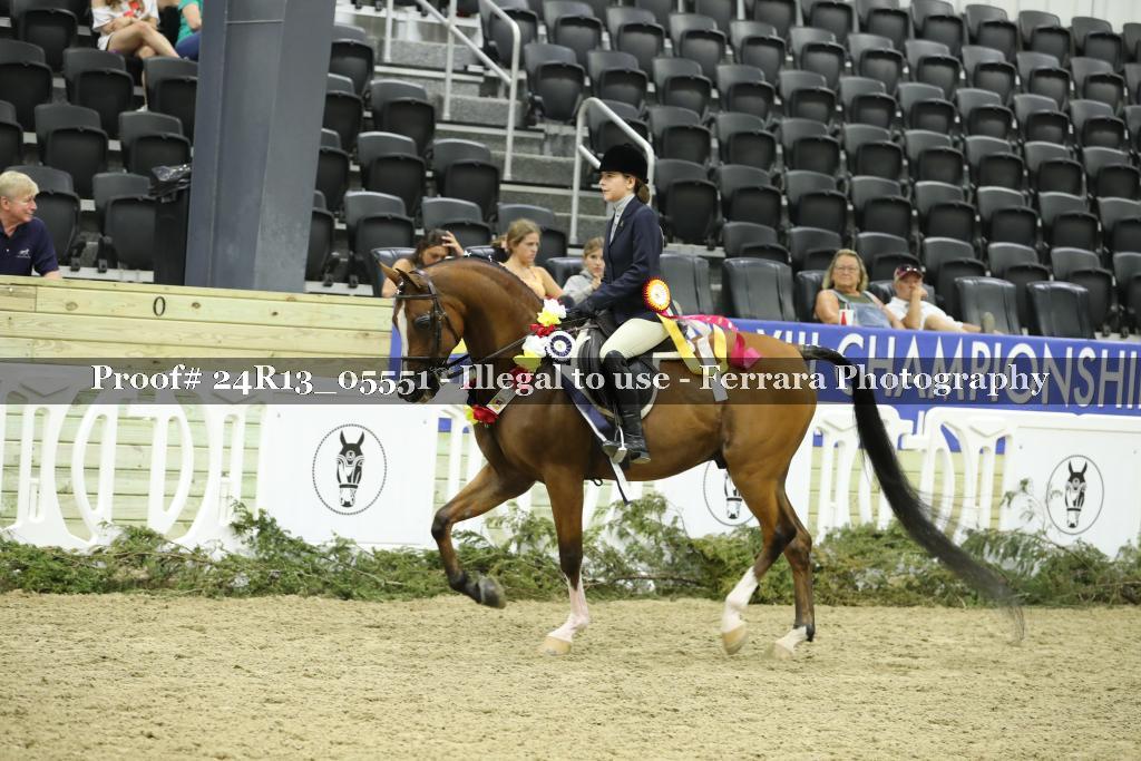 Proof Number 24R13_05551