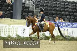 24R13_05551 thumbnail