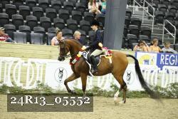 24R13_05552 thumbnail