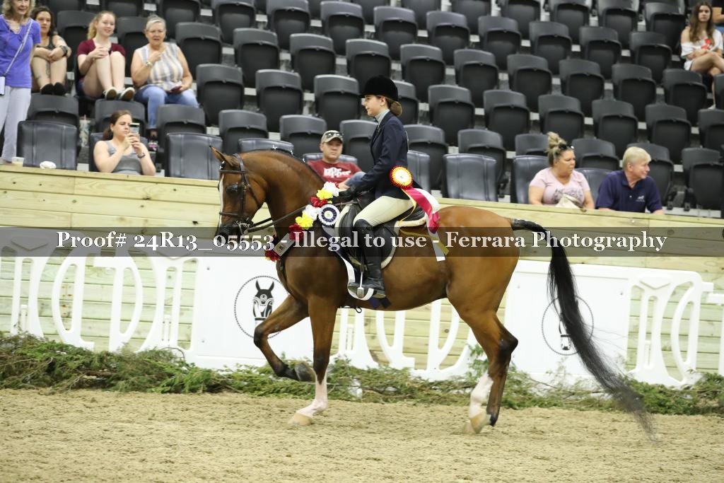 Proof Number 24R13_05553