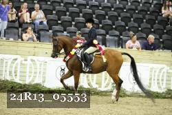 24R13_05553 thumbnail
