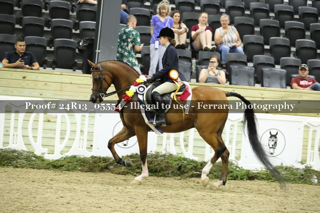 Proof Number 24R13_05554