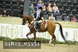 24R13_05554 thumbnail