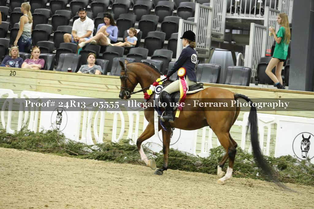 Proof Number 24R13_05555