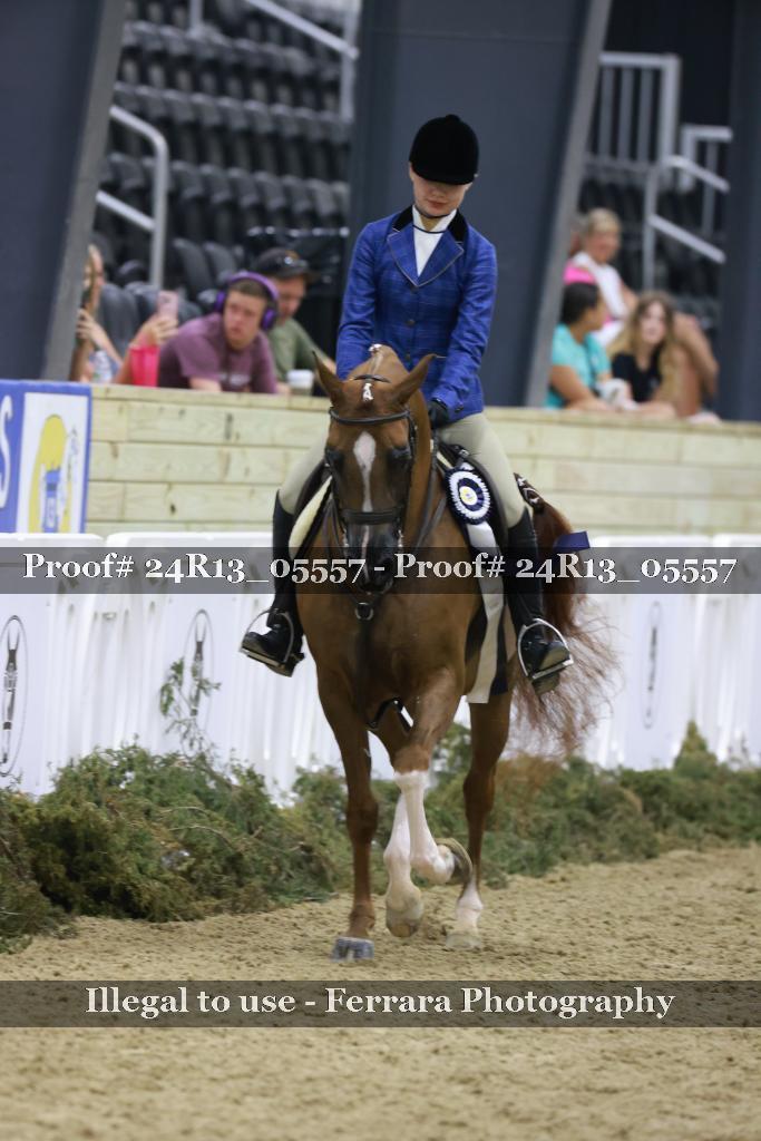Proof Number 24R13_05557