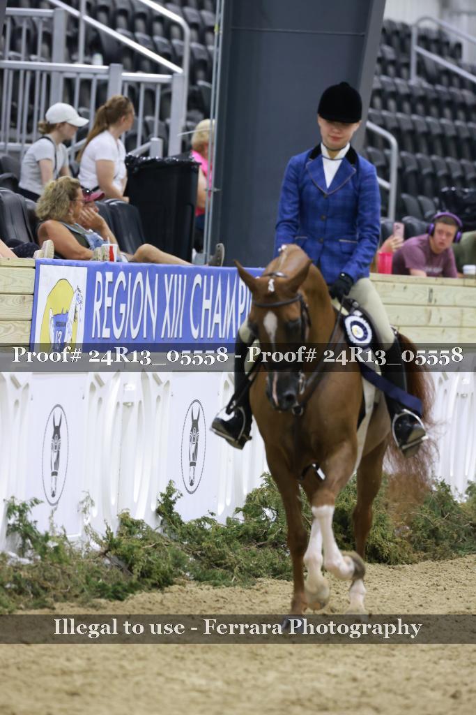Proof Number 24R13_05558