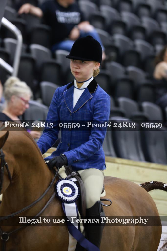 Proof Number 24R13_05559