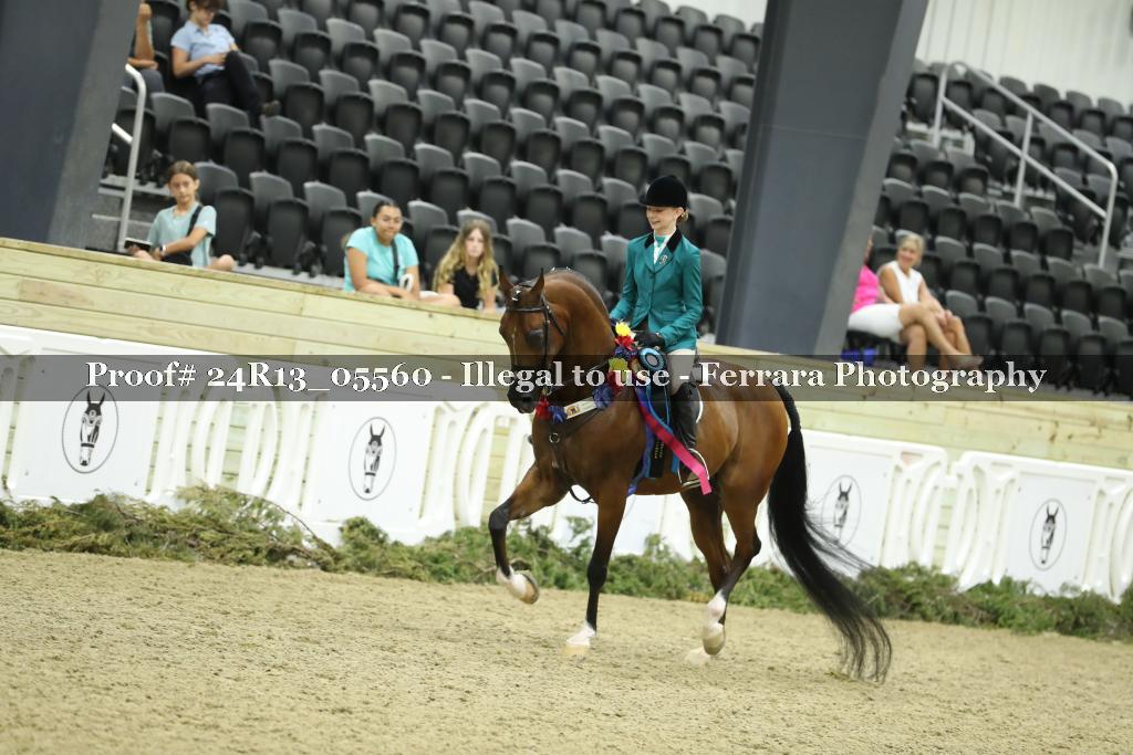 Proof Number 24R13_05560