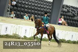 24R13_05560 thumbnail