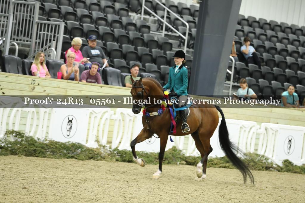 Proof Number 24R13_05561