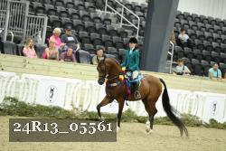 24R13_05561 thumbnail