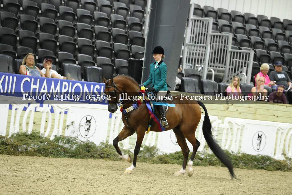 Proof Number 24R13_05562