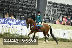 24R13_05562 thumbnail