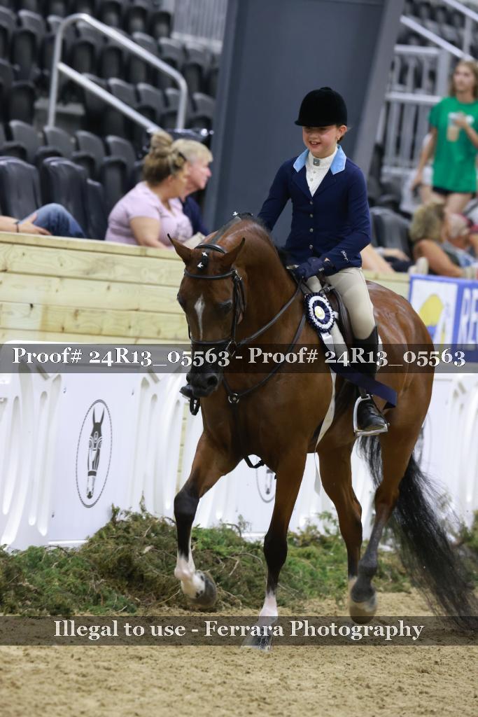 Proof Number 24R13_05563