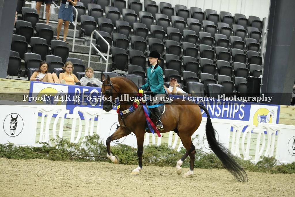 Proof Number 24R13_05564