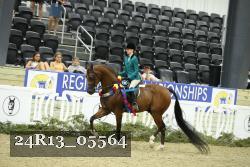 24R13_05564 thumbnail