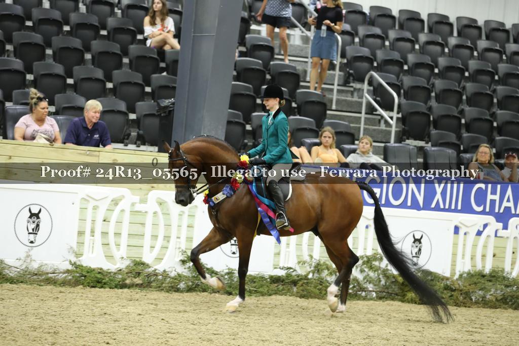 Proof Number 24R13_05565