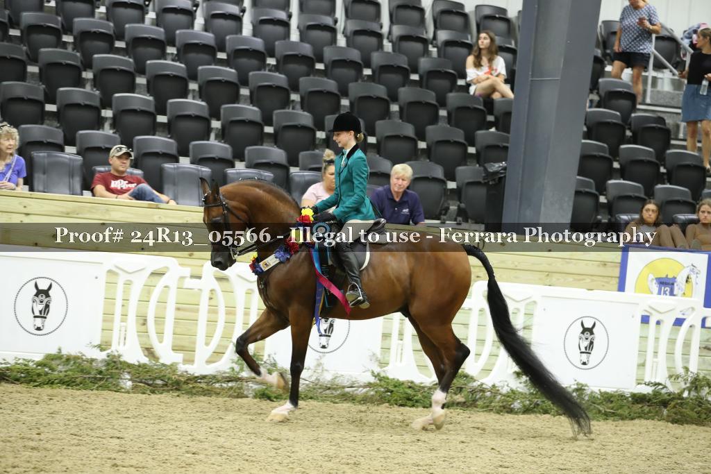 Proof Number 24R13_05566