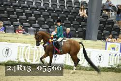 24R13_05566 thumbnail