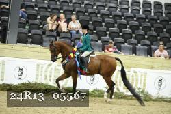 24R13_05567 thumbnail