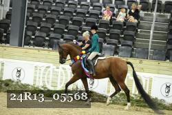 24R13_05568 thumbnail