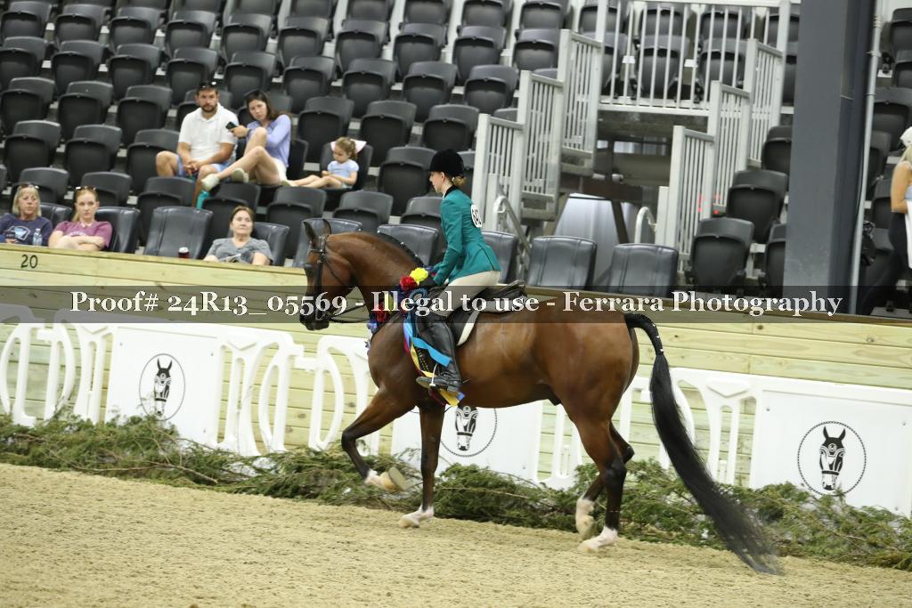 Proof Number 24R13_05569