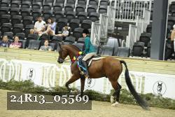 24R13_05569 thumbnail