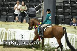 24R13_05570 thumbnail